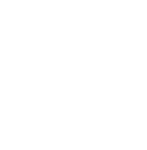 Texas Wellness Retreats Logo