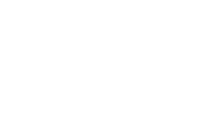 Texas Wellness Retreats Logo White